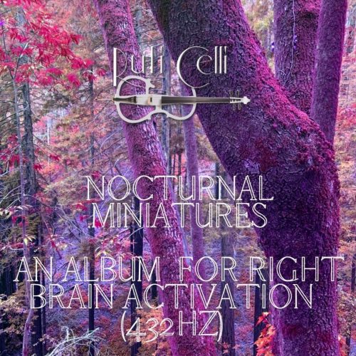Nocturnal Minitures CD size 1400 by 1400